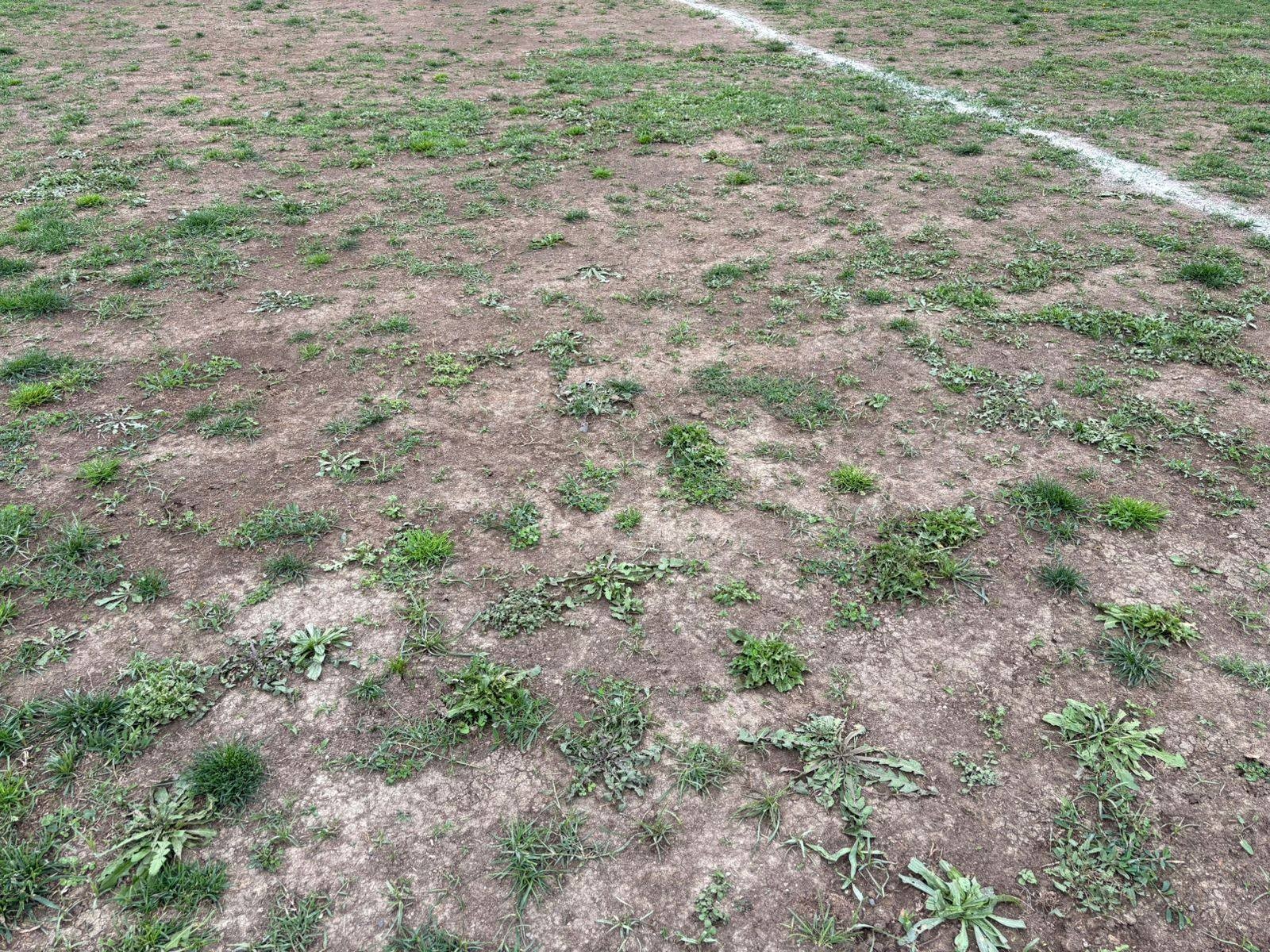 
        Şəmkir stadionu bərbad durumda -
    